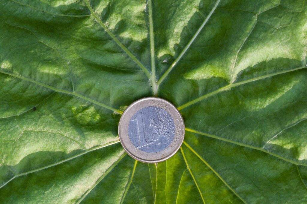 Evro kovanec na zelenem listu