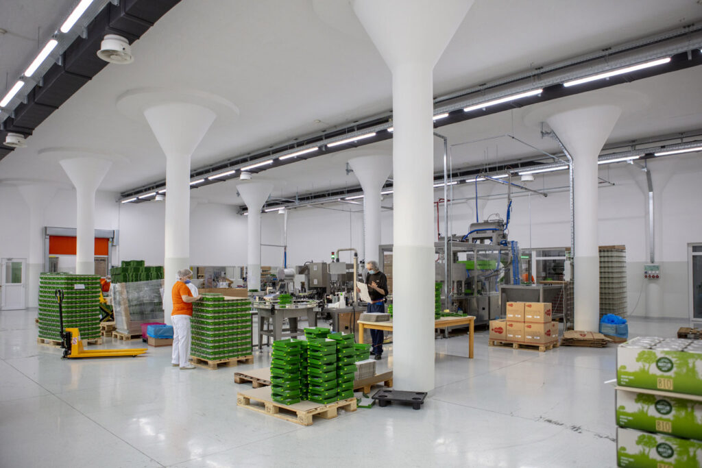 Oljarna podjetja Narayan