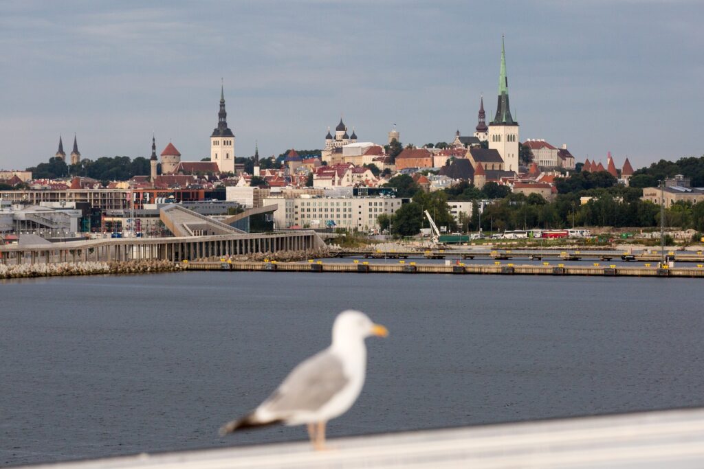 Estonska prestolnica Talin