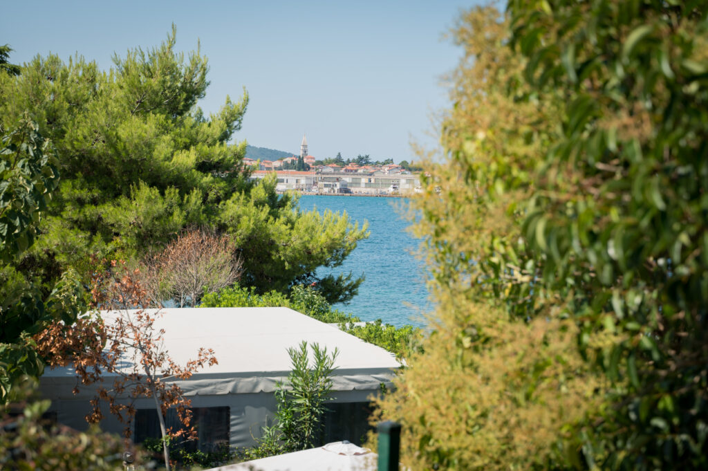 Izola
