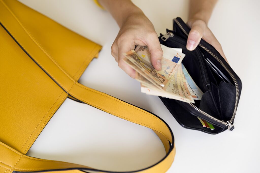 denar, denarnica, evri, plača, ženska, torbica, zapravljanje