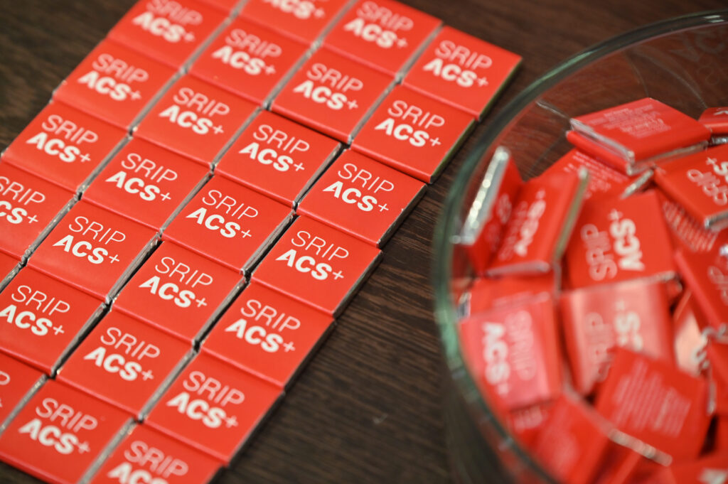 Slovenski avtomobilski grozd