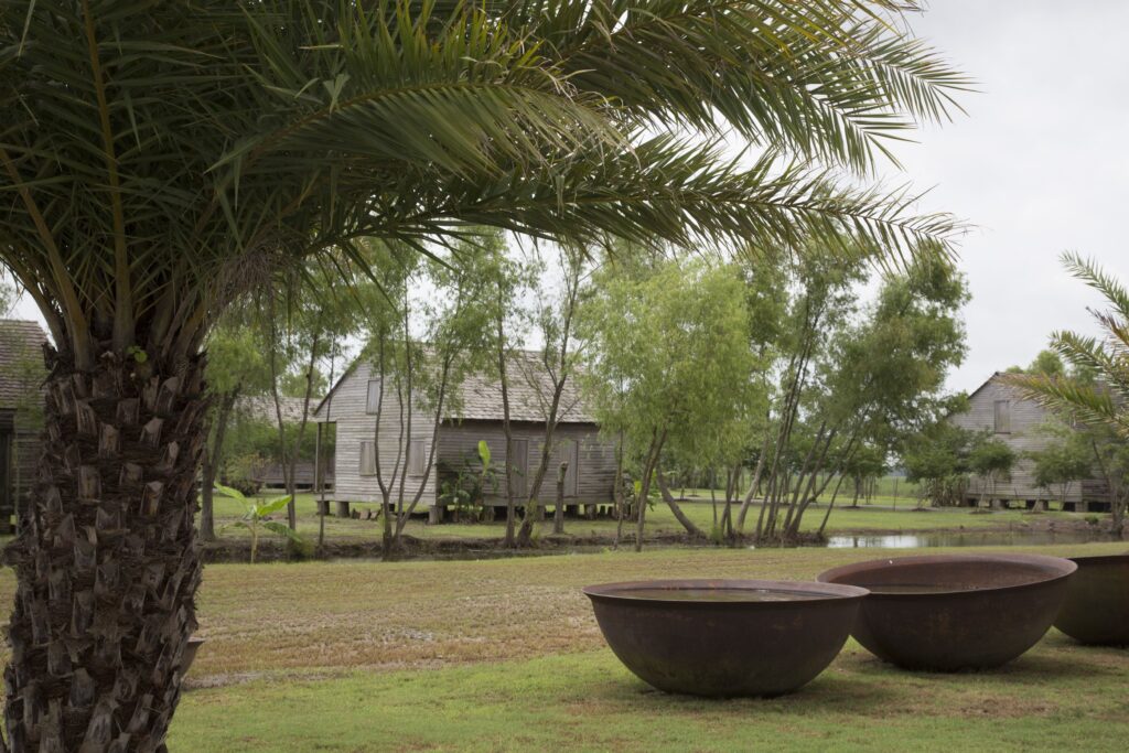 Plantaža sladkornega trsa Whitney v Louisiani, ki je predelana v muzej suženjstva