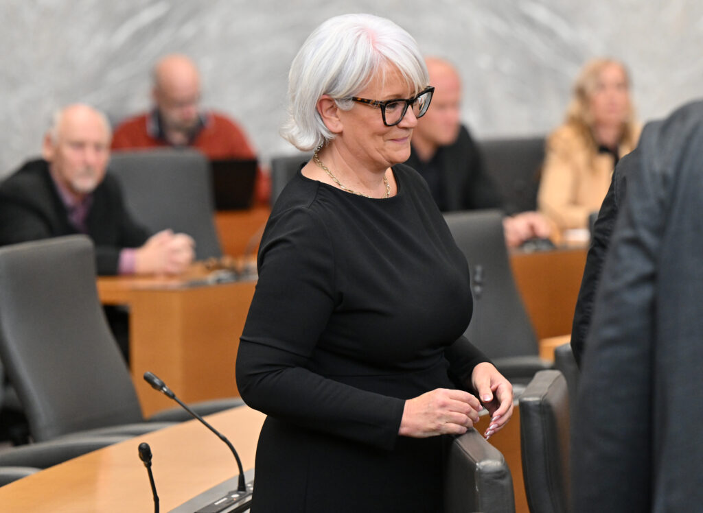 Janja Rednjak, SD, Socialni demokrati