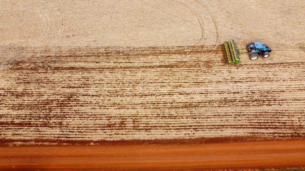 Polje soje v Braziliji