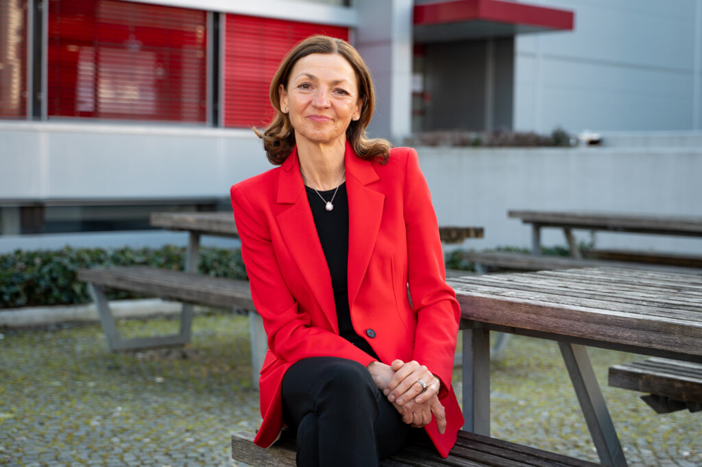 Maja Zalaznik, Ekonomska fakulteta v Ljubljani