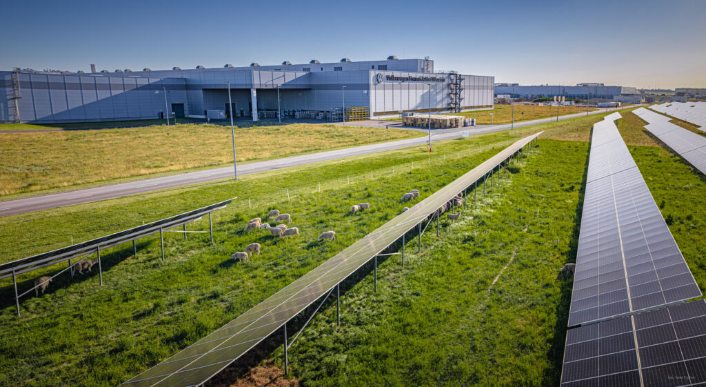 Volkswagen Poznan, sončna elektrarna, agrofotovoltaika