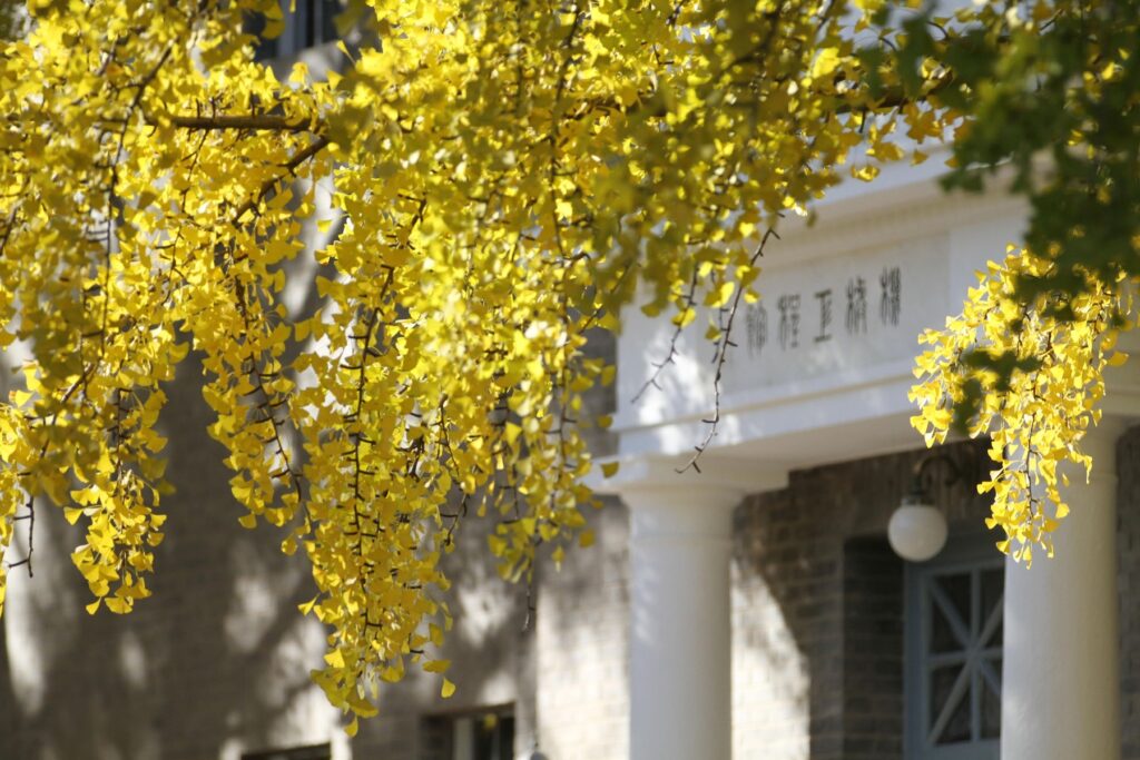 Univerza Tsinghua v Pekingu